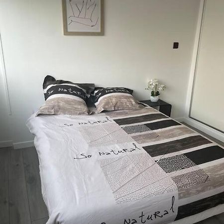Appartement 110M2 Annemasse Dış mekan fotoğraf