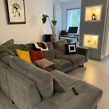 Appartement 110M2 Annemasse Dış mekan fotoğraf