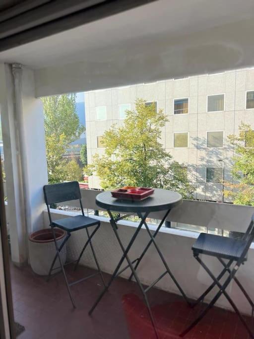 Appartement 110M2 Annemasse Dış mekan fotoğraf
