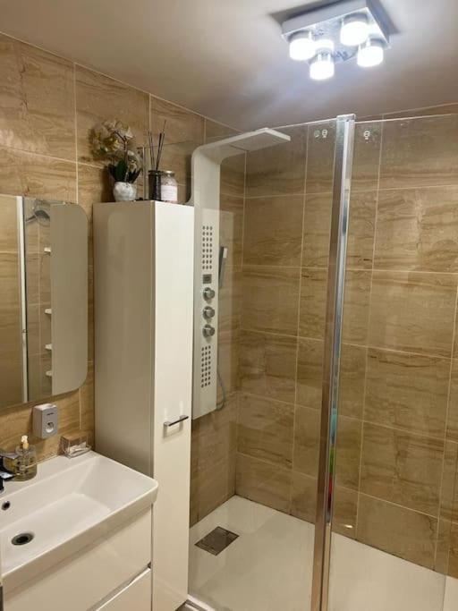 Appartement 110M2 Annemasse Dış mekan fotoğraf